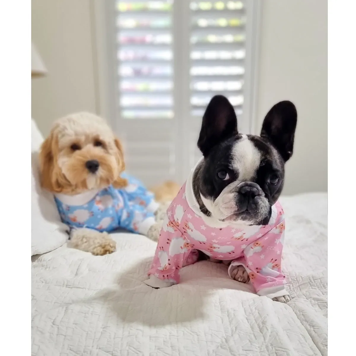Counting Sheep Dog Pyjamas - Pink